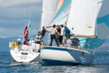 lemarac 4040c prime cut gbr3709 whyw16 mon 800 2351w